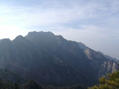 -王顺山国家森林公园