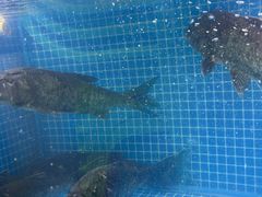 -川流不息·地道川菜·小龙虾(新松江路店)