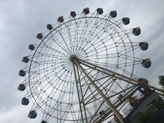 -白洋淀景区