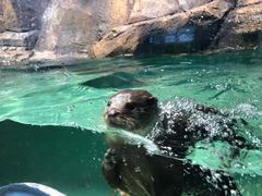 -波塞冬旅游度假区