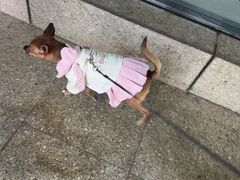 -锡笼记·无锡小笼(新明路店)