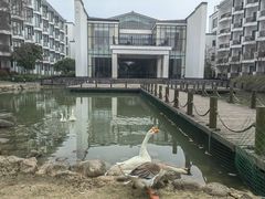 -苏州香山国际大酒店