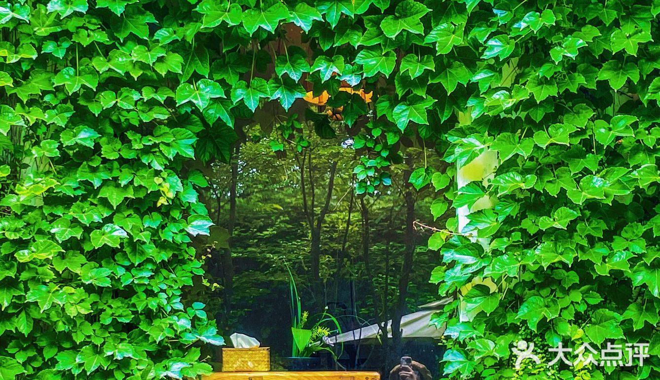 小森林般的宝藏私厨--草根布道，不来后悔嗷！