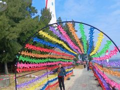 -北海金海湾红树林生态旅游区