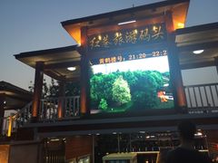 -武汉两江游览·夜游长江(汉口粤汉码头)