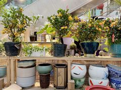 -双季花艺园艺市场(浦东店)