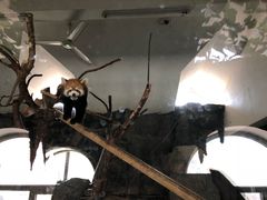 -哈尔滨北方森林动物园