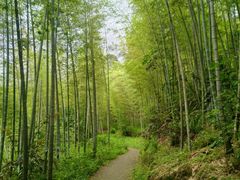 -千泷沟大瀑布旅游区