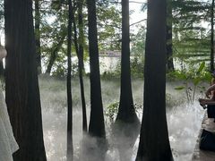 -东湖落雁景区