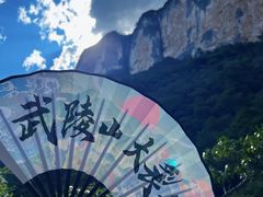 -武陵山森林公园