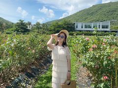 -亚龙湾国际玫瑰谷