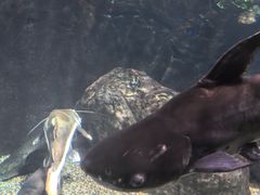 -太平洋海底世界