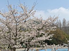 -杭州少年儿童公园