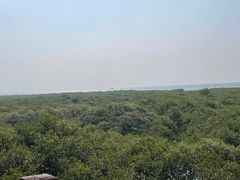 -北海金海湾红树林生态旅游区