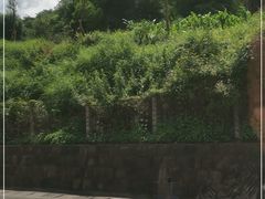 -世界恐龙谷景区