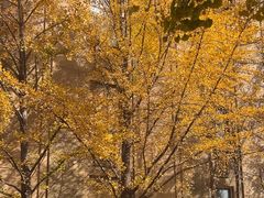 -辽宁大学(崇山校区)
