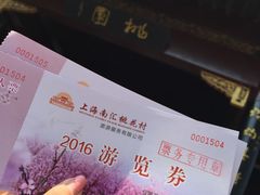 2016年menpiao-南汇桃花村