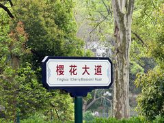 -武汉大学-樱园
