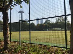 -南京奥林匹克体育中心-体育馆