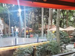 -二荆条·蜀鲜汇城市森林火锅