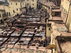 -穆莱拉赫制革厂