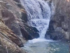 -广州白江湖森林公园