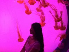 -沈阳海洋探索中心