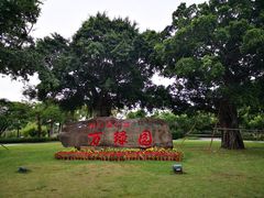 -万绿园