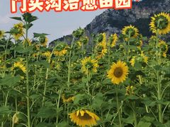 -妙峰山风景名胜区