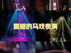 -重庆国际马戏城