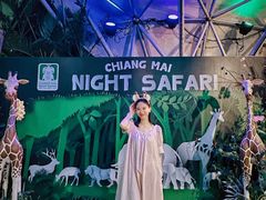 -清迈夜间动物园