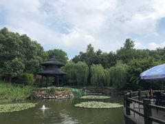 -天目湖山水园