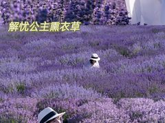 -布尔津河堤夜市