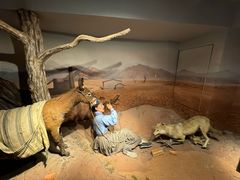 -陕西自然博物馆