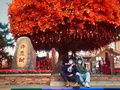 -沈阳方特欢乐世界