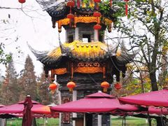 -三道苗苗鱼(三道堰老字号店)