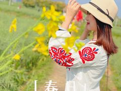 -光明小镇欢乐田园