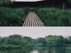-西溪国家湿地公园