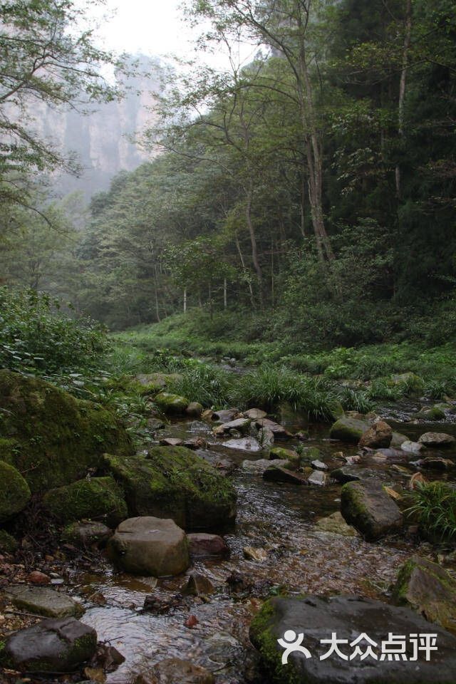 張家界核心景區武陵源(張家界國家森林公園)圖片 - 第1張