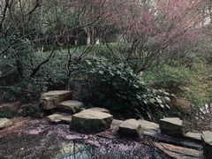 -杭州半山国家森林公园