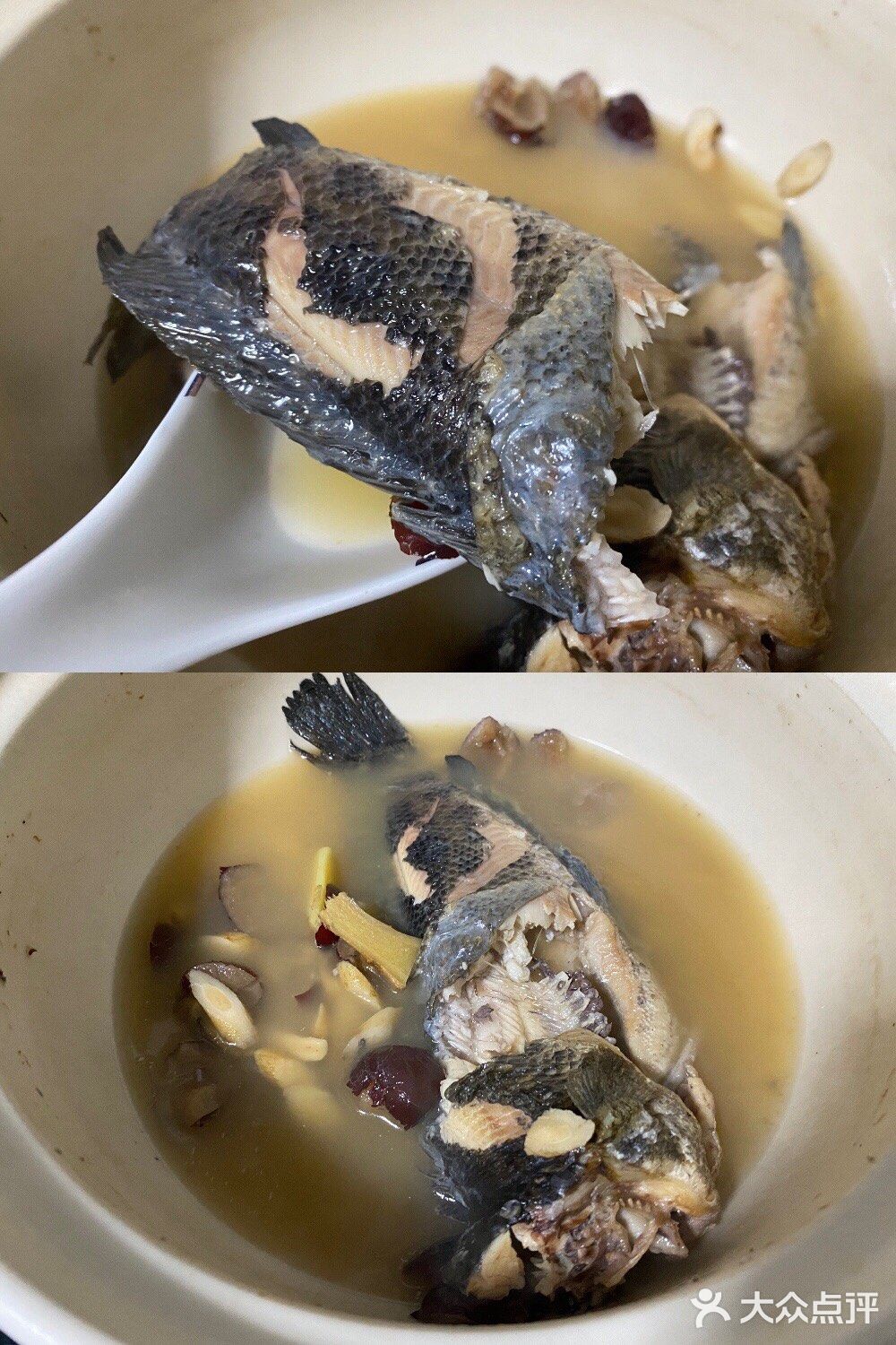 一条鱼的变身—红枣北芪生鱼汤