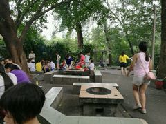 -晓港公园