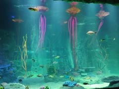 -沈阳海洋探索中心