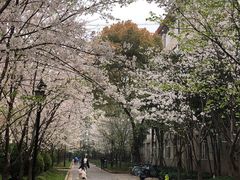 -上海财经大学(国定路校区)