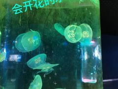 -苏州海洋馆