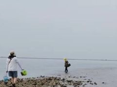 -金沙滩度假村