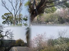 -广州市白云山风景名胜区