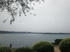 -丁香湖公园