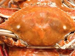 -北塘海鲜·天津菜(大光明桥旗舰店)