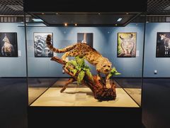 -国家自然博物馆